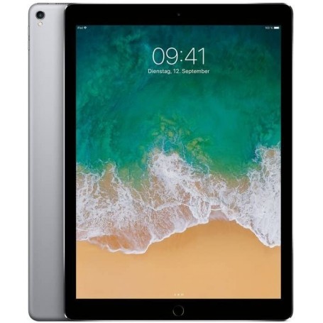 iPad Pro 10.5’’ Cellular 256 Go Gris Sidéral